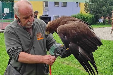 Obrázek č.51